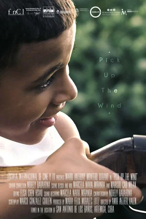 Постер: Pick up the Wind