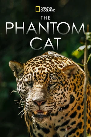 Постер: The Phantom Cat