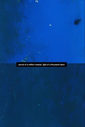 Постер: Sound of a Million Insects, Light of a Thousand Stars