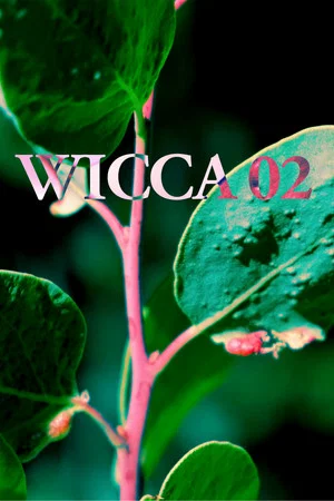 Постер: WICCA_02