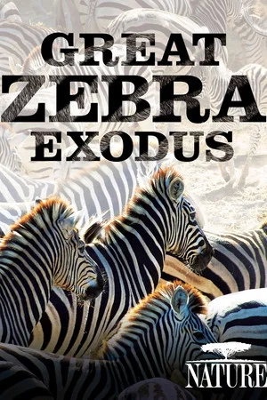 Постер: Nature: Great Zebra Exodus