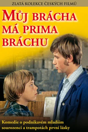 Постер: Můj brácha má prima bráchu