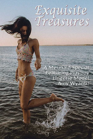 Постер: Exquisite Treasures