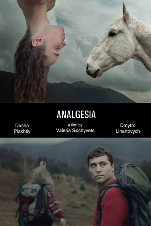 Постер: Analgesia