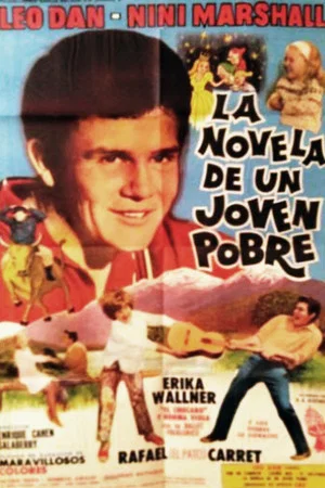 Постер: The novel of a poor young man