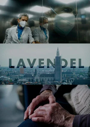 Постер: Lavender