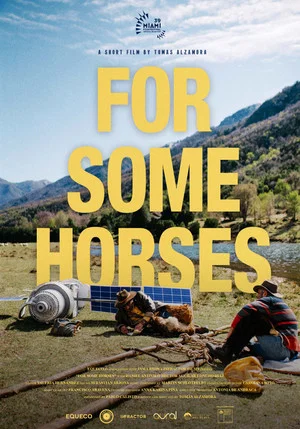 Постер: For Some Horses
