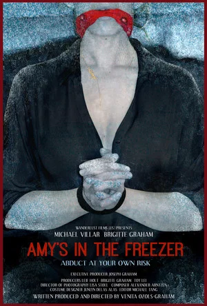 Постер: Amy's in the Freezer
