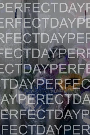 Постер: Perfect Day