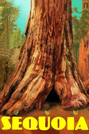 Постер: Sequoia