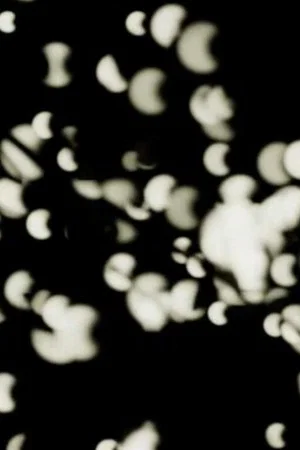 Постер: Out of the Light