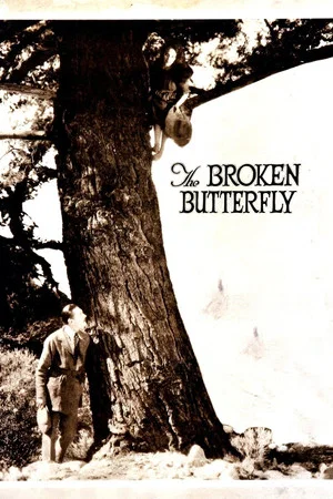 Постер: The Broken Butterfly