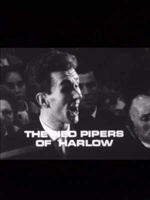 Постер: The Pied Pipers of Harlow