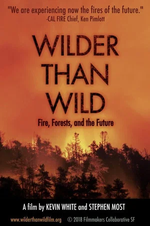 Постер: Wilder than Wild: Fire, Forests, and the Future