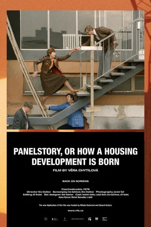 Постер: Panelstory or Birth of a Community