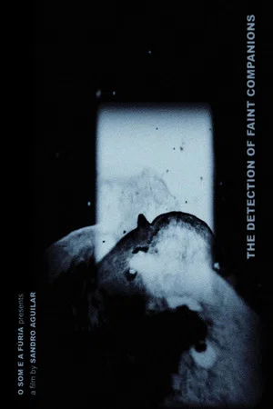 Постер: The Detection of Faint Companions