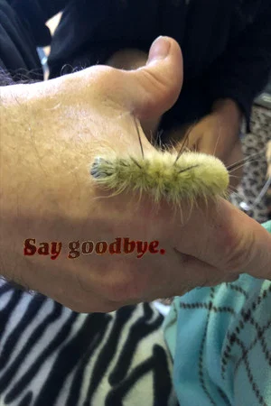 Постер: Say Goodbye