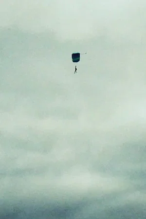 Постер: Jimi Could Have Fallen from the Sky