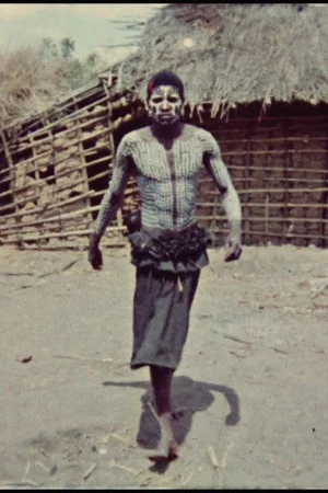 Постер: Viagem aos Makonde