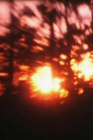 Постер: Light from the Mesa