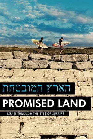Постер: הארץ המובטחת