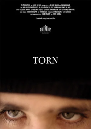 Постер: Torn