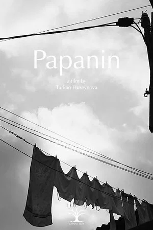 Постер: Papanin