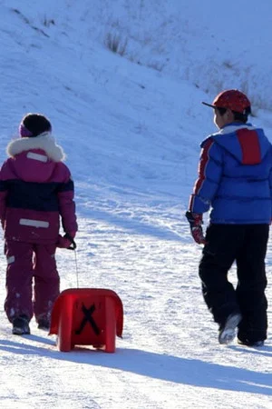 Постер: The City Where Children Disappear