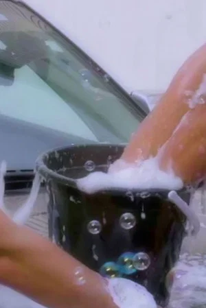 Постер: Fop Wash