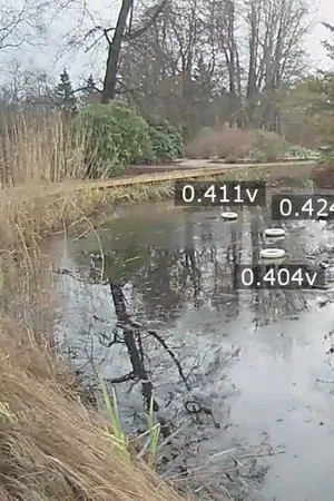 Постер: Pond Battery