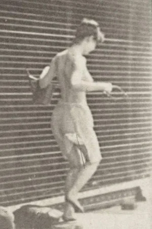 Постер: Woman Crossing Brook on Stepping-Stones with a Fishing Pole and a Can