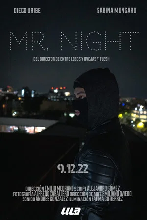 Постер: MR. NIGHT
