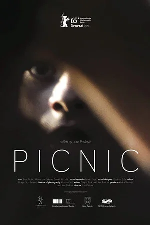 Постер: Picnic