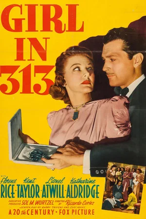 Постер: Girl in 313