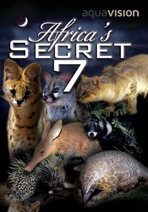 Постер: Africa's Secret Seven