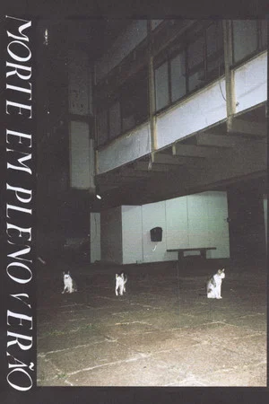 Постер: Morte em pleno verão