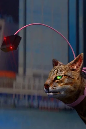Постер: Catwalker and the Catwalker’s Intern