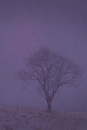 Постер: Tree Over the Valley, Eaton