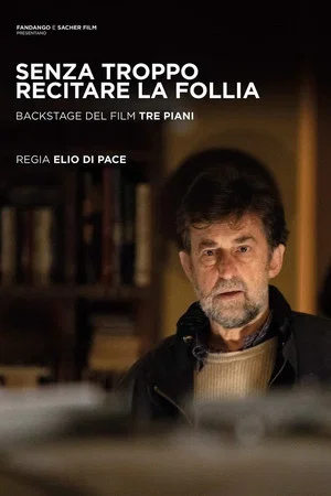 Постер: Senza troppo recitare la follia