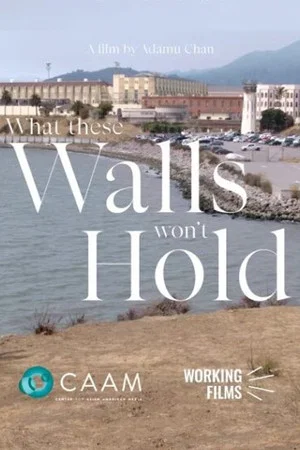 Постер: What These Walls Won't Hold