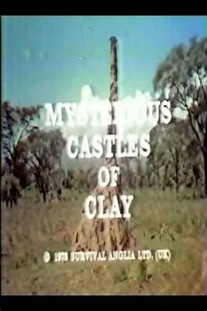 Постер: Mysterious Castles of Clay