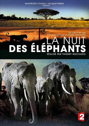 Постер: La Nuit des éléphants