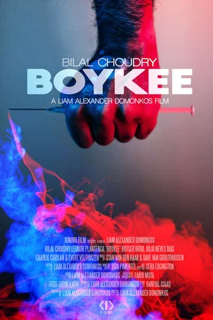 Постер: Boykee