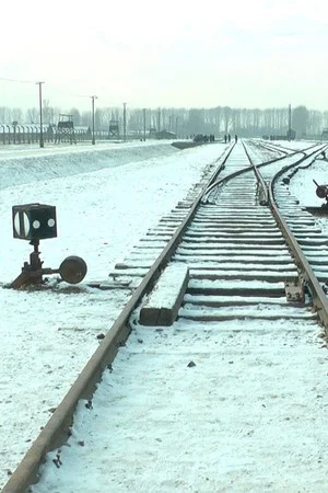 Постер: 19 876 Steps in Auschwitz / Birkenau