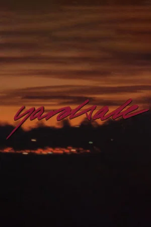 Постер: The YS Video