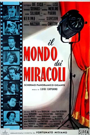 Постер: Il mondo dei miracoli