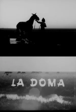 Постер: La doma