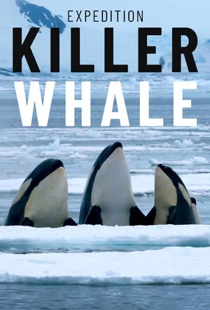 Постер: Expedition Killer Whale