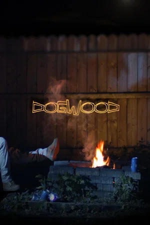 Постер: Dogwood