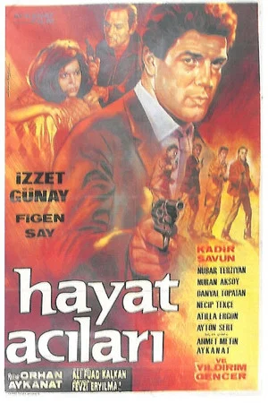 Постер: Hayat Acıları
